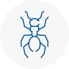 Ant Removals In Kendal