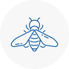 Bee Nest Removal Kendal