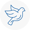 Bird Prevention Kendal