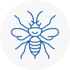Kendal Hornet Nest Removals