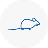 Mice Exterminators In Kendal