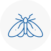 Moth Control Specialists In Kendal