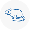 Rat Control Kendal