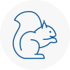 Kendal Rodent Removals